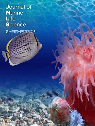 book_cover_img